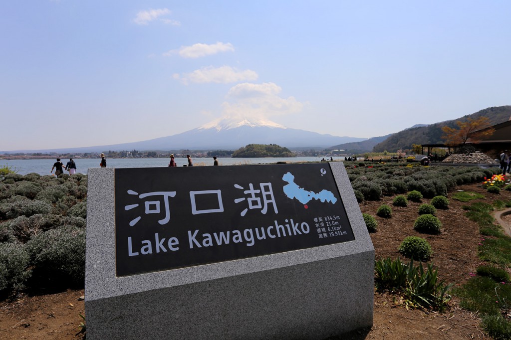 河口湖自然生活館近く