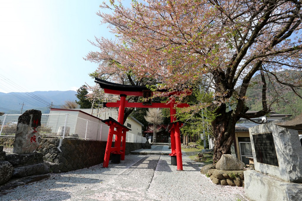 桜と浅間神社